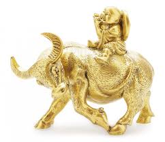 mo-thay-trau-vang-la-diem-bao-gi
